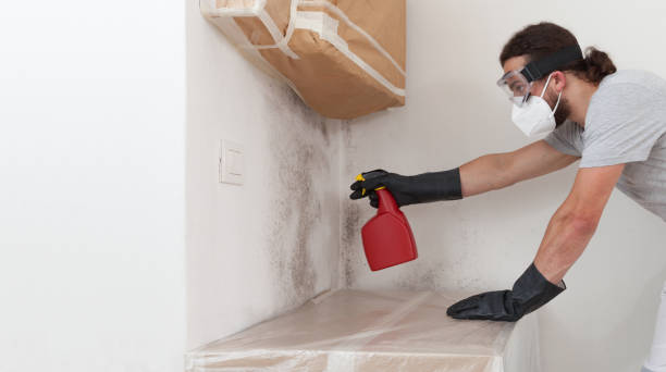 Attic Mold Remediation treatment on roof deck in Mountville