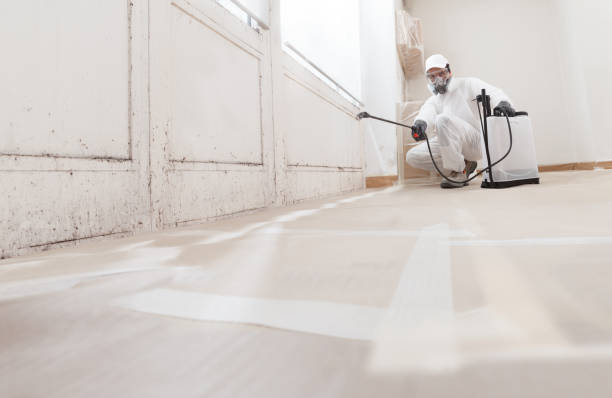 Black mold remediation team in Mountville